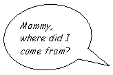 : Mommy, where did I come from?