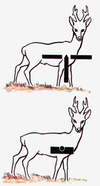 1562.JPG