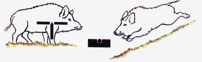 1566.JPG