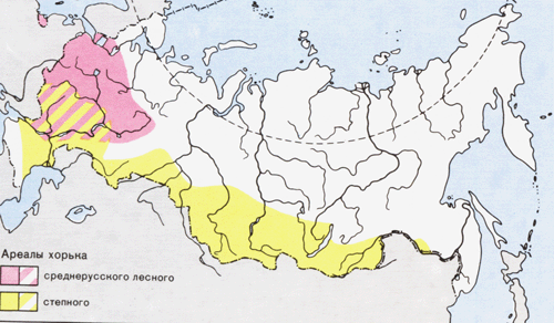 1736.JPG